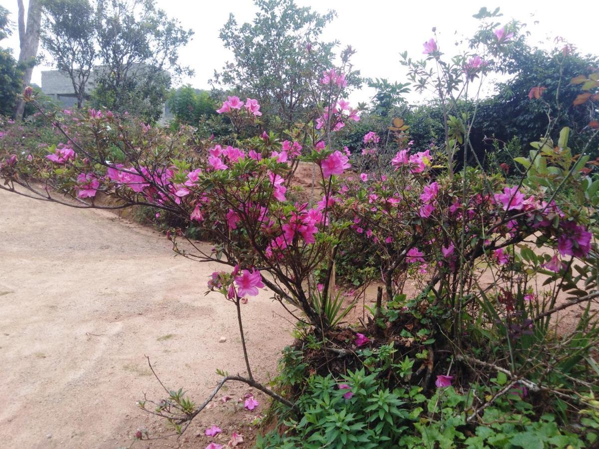 Forest Cyniciam Homestay Ohiya Esterno foto