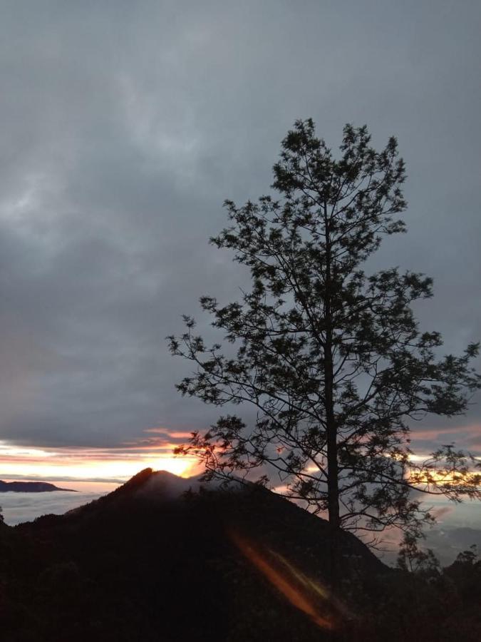 Forest Cyniciam Homestay Ohiya Esterno foto