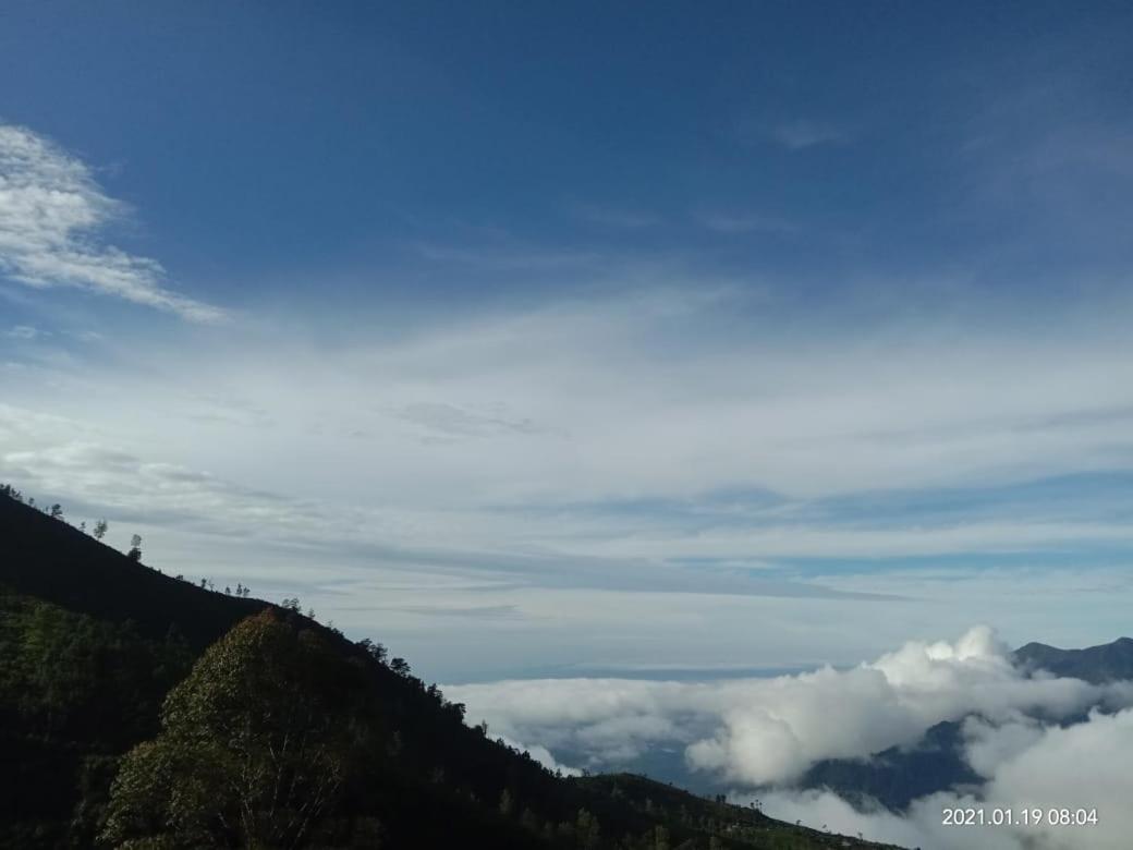 Forest Cyniciam Homestay Ohiya Esterno foto