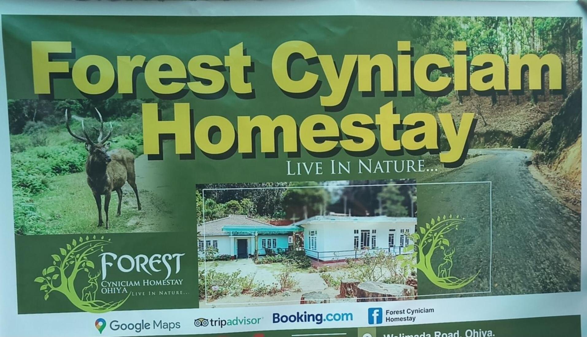 Forest Cyniciam Homestay Ohiya Esterno foto