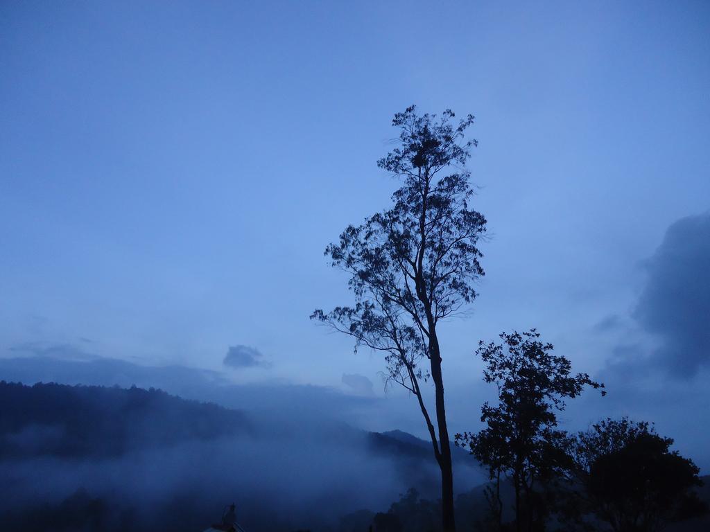 Forest Cyniciam Homestay Ohiya Esterno foto