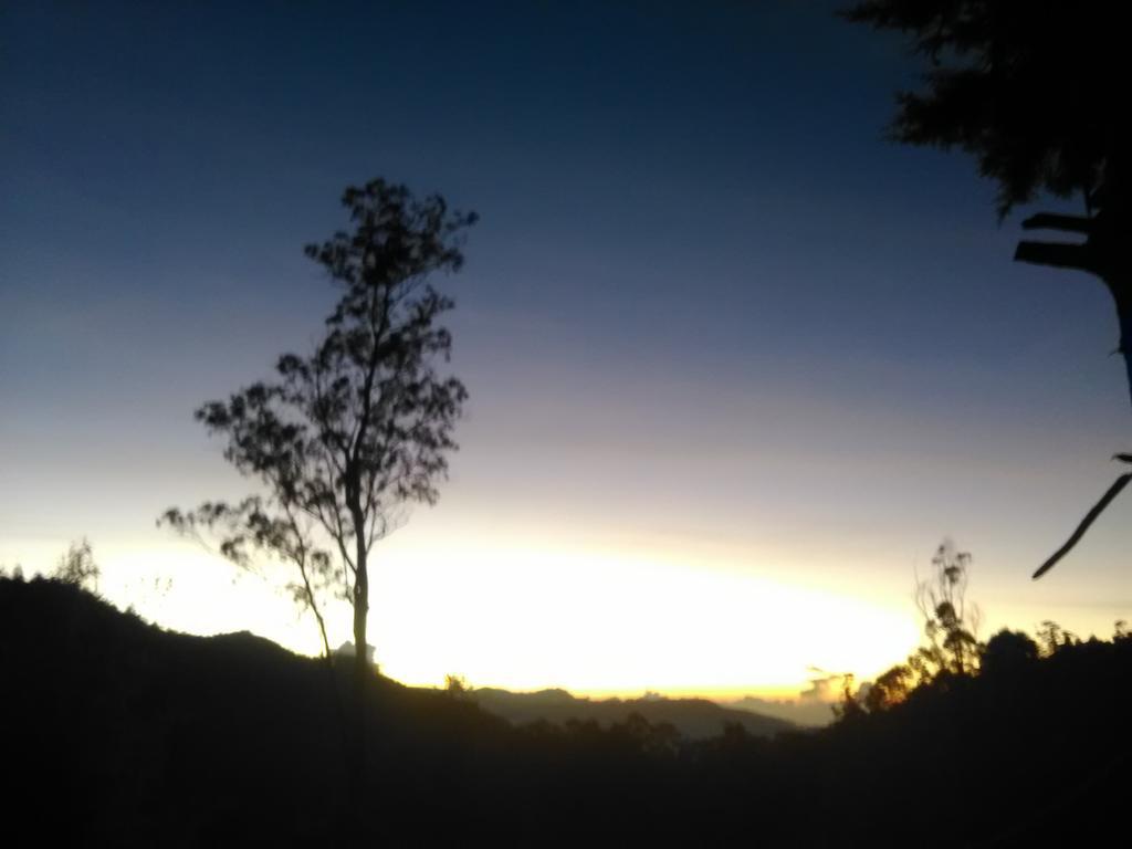 Forest Cyniciam Homestay Ohiya Esterno foto