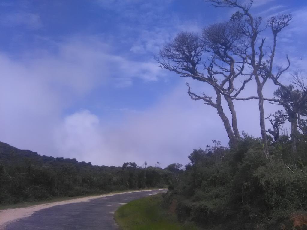 Forest Cyniciam Homestay Ohiya Esterno foto