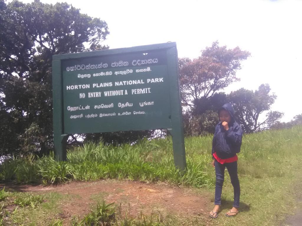 Forest Cyniciam Homestay Ohiya Esterno foto