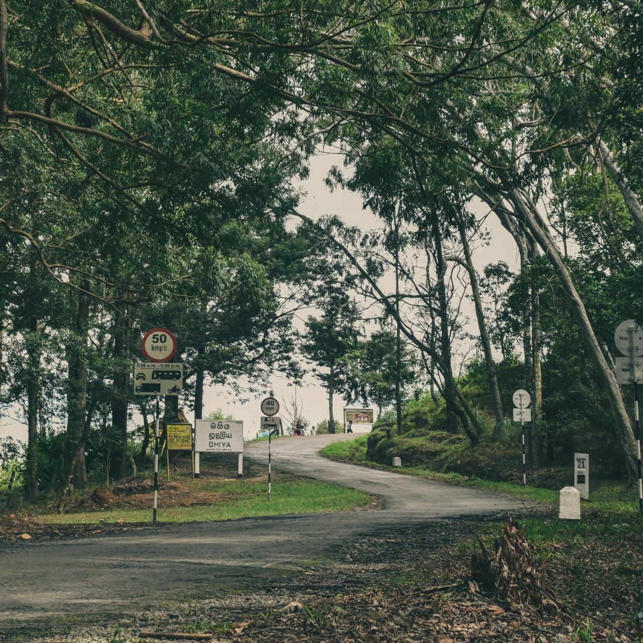 Forest Cyniciam Homestay Ohiya Esterno foto