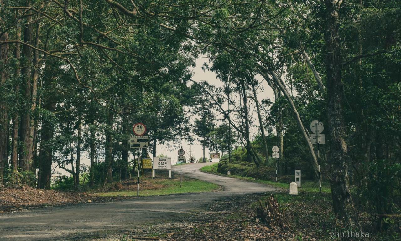 Forest Cyniciam Homestay Ohiya Esterno foto
