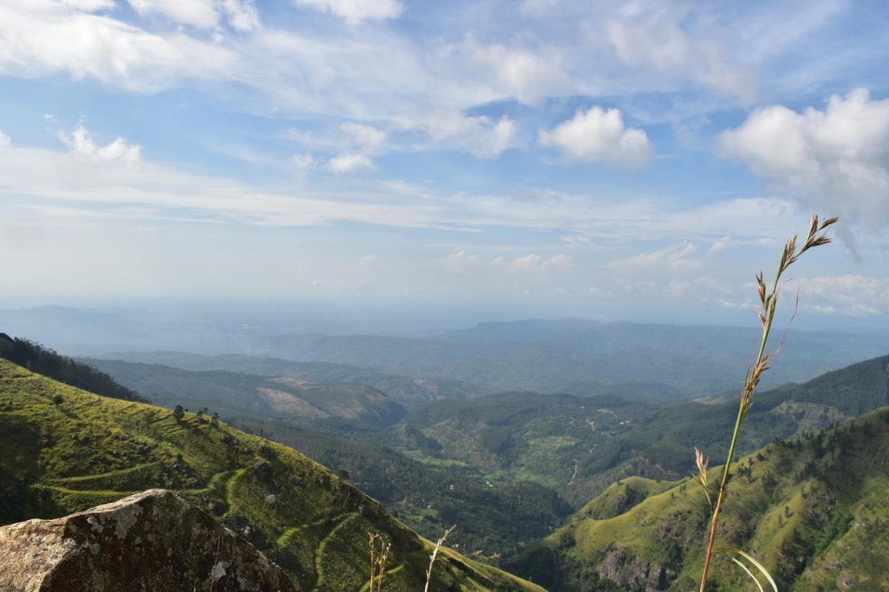 Forest Cyniciam Homestay Ohiya Esterno foto
